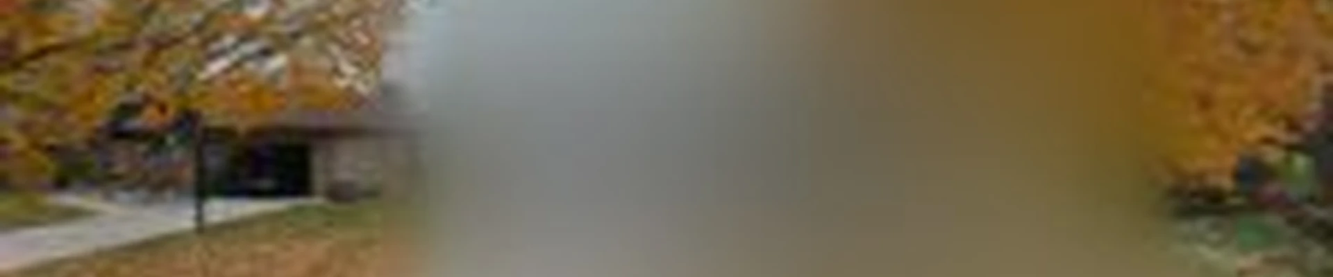 Anthony's Steam Cleaning