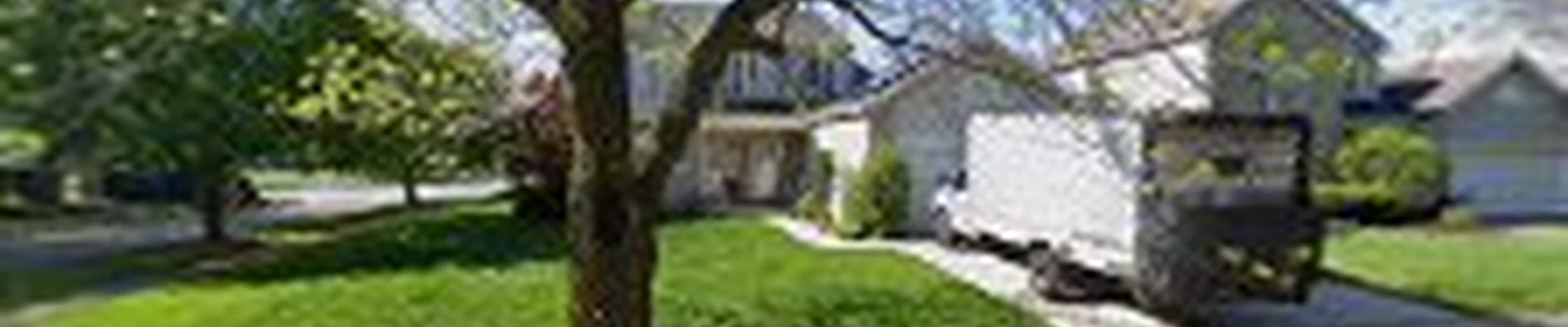 Chicago Costa Cleaning Services