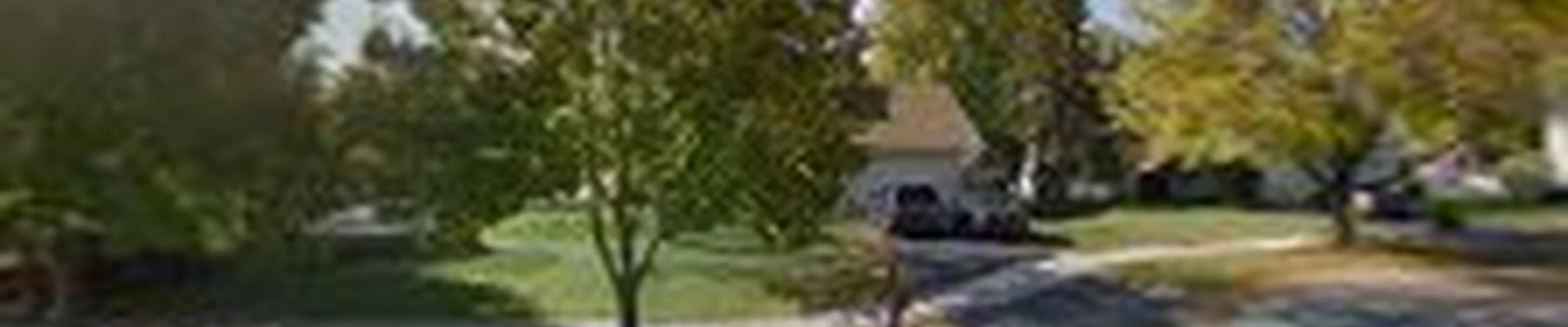 Dave's of Naperville Carpet Cleaning Service