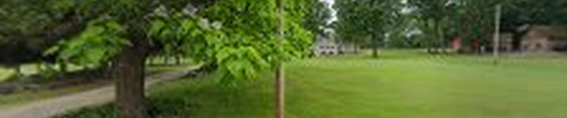 Templeton Septic Tank Cleaning