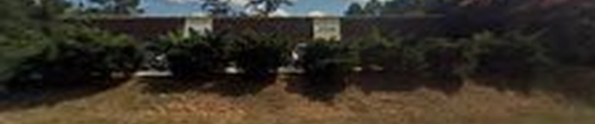 Mountainview Chem-Dry Carpet Cleaning