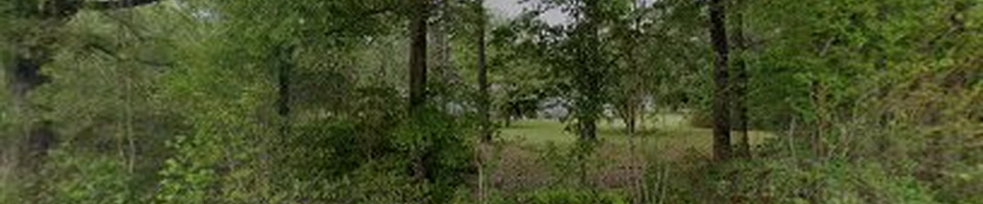 Brookwood Cleaning Services