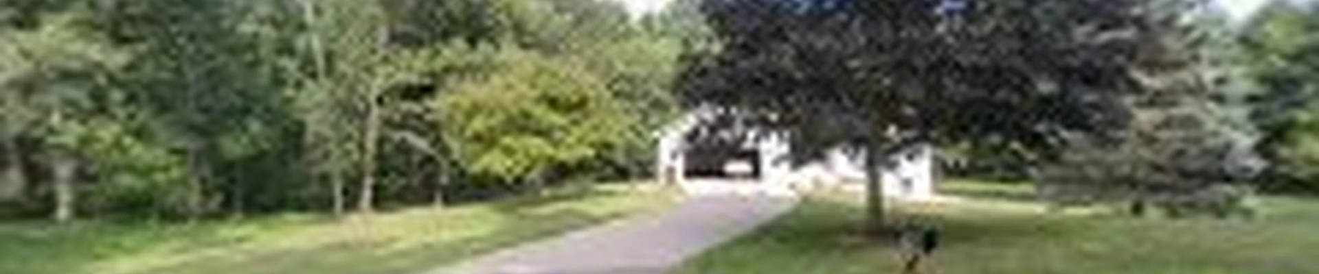 Revive Exterior Cleaning