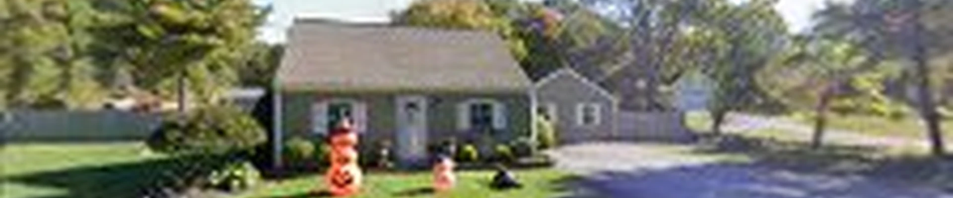 Vieira's Tree Service