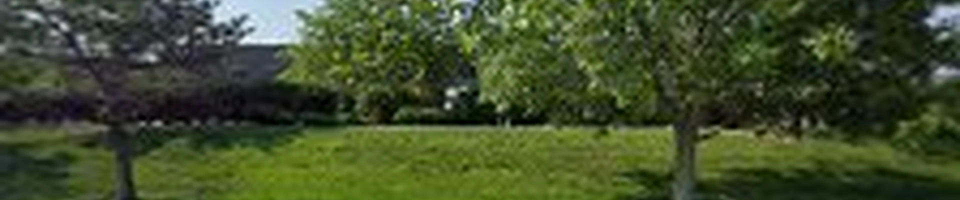 Adamstree Roofing and Construction