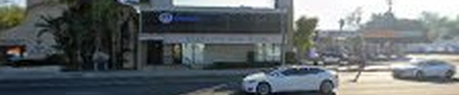 Fish Window Cleaning