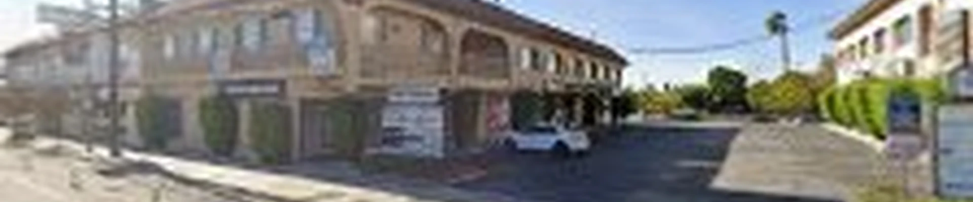 Lena Rugs & Services