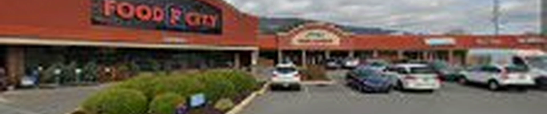 Chattanooga Seamless Gutters