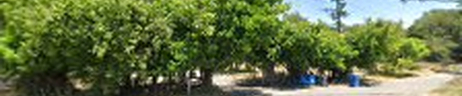 Sustainable Living Builders, Inc