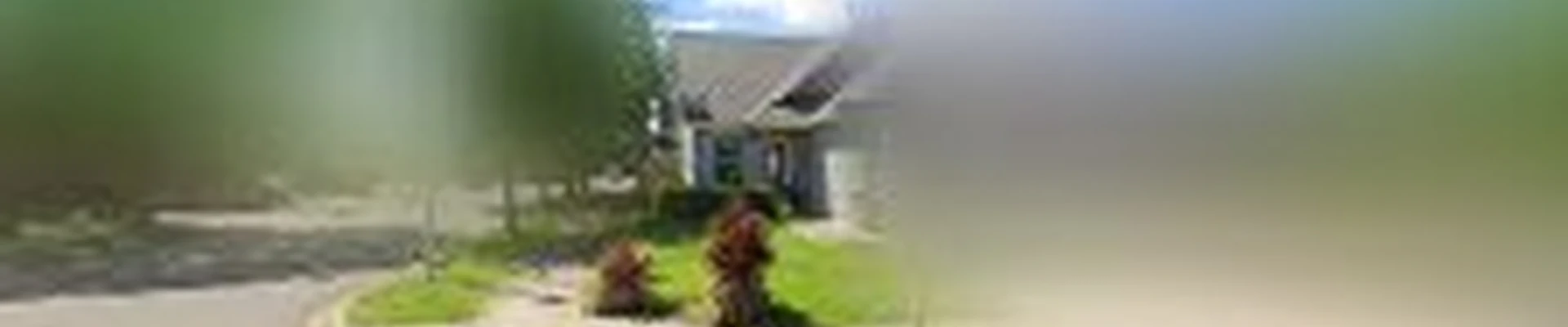 Master Windows LLC