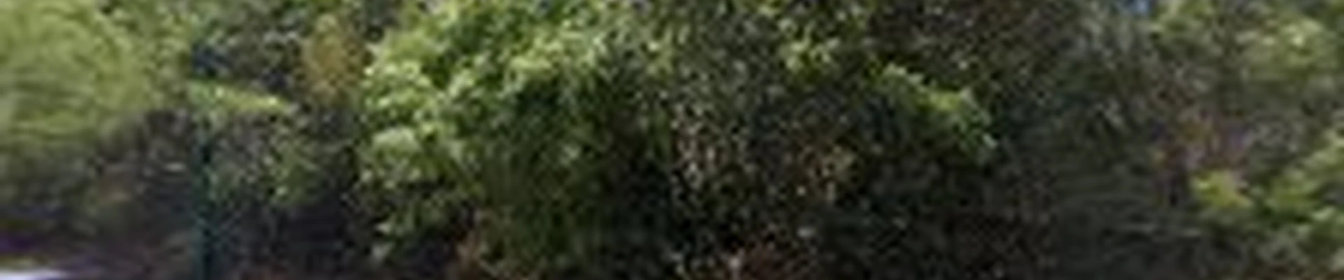 North County SD Cleaning Services