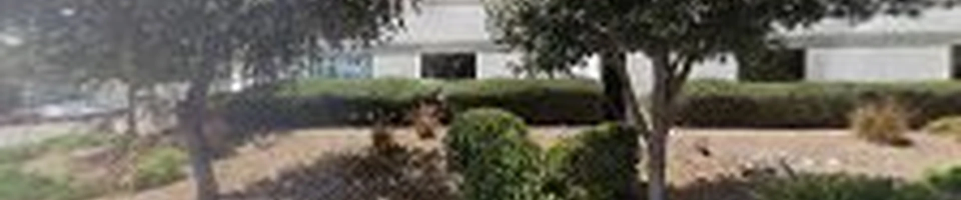 Prestige Tile & Stone Cleaning San Marcos
