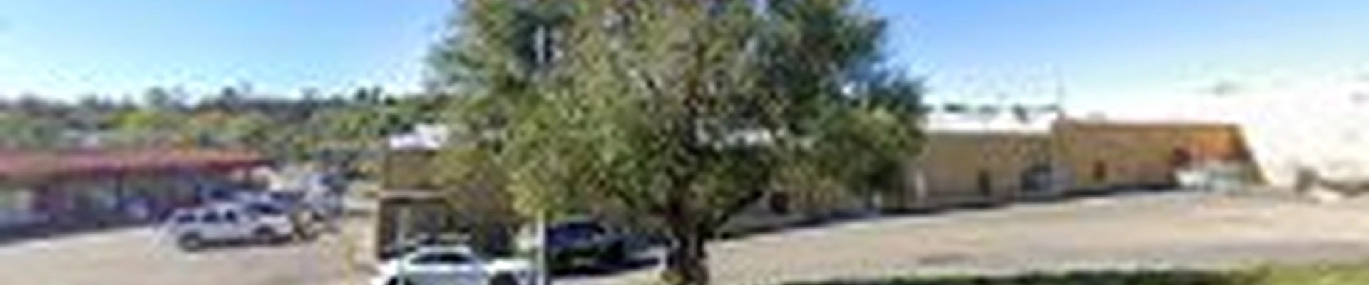 JUNK MODE - Junk Removal, Dumpster Rental, Demolition & Overgrowth Cleanup