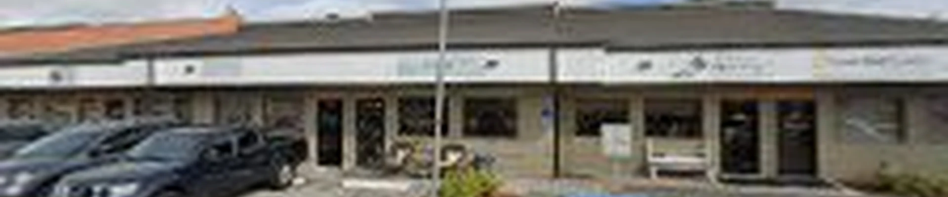 Fish Window Cleaning