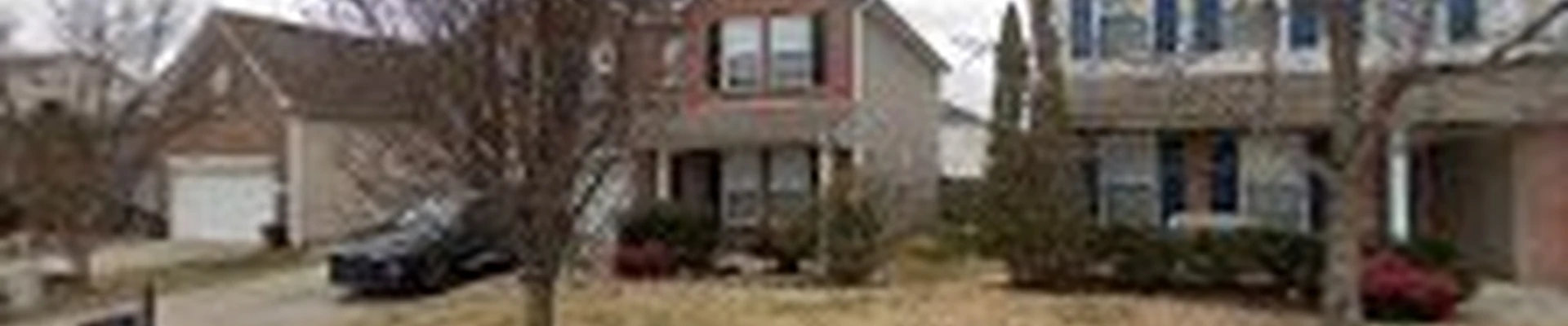 Apex Gutter Protection