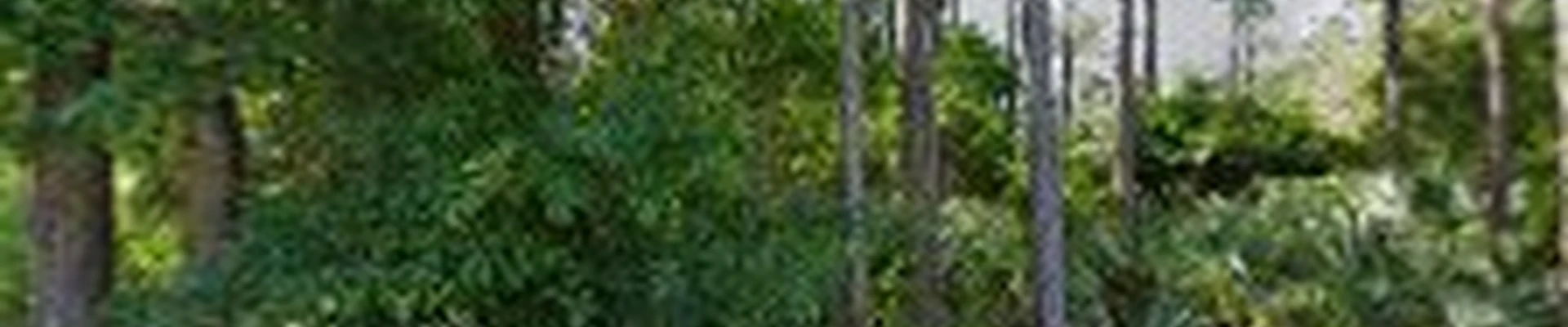 Palm City Dryer Vent Services | Atlantic Premier Solutions