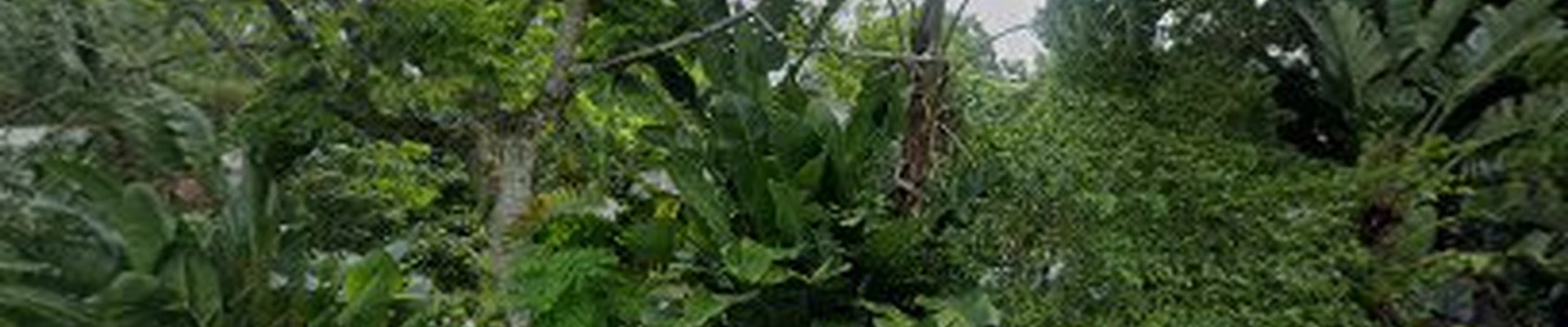 GRASS Attic Insulation & Roofing Services Fort Pierce, FL