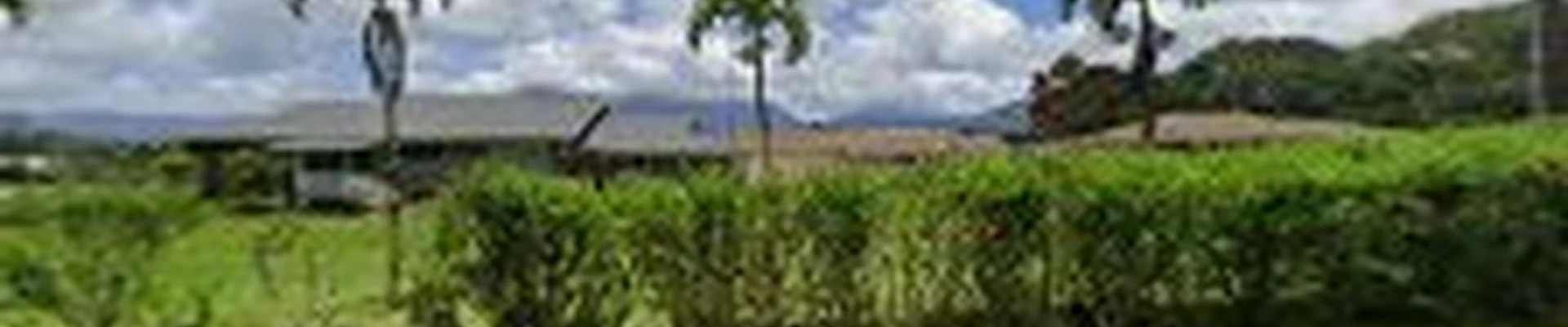 Kauai Air Conditioning & Plumbing
