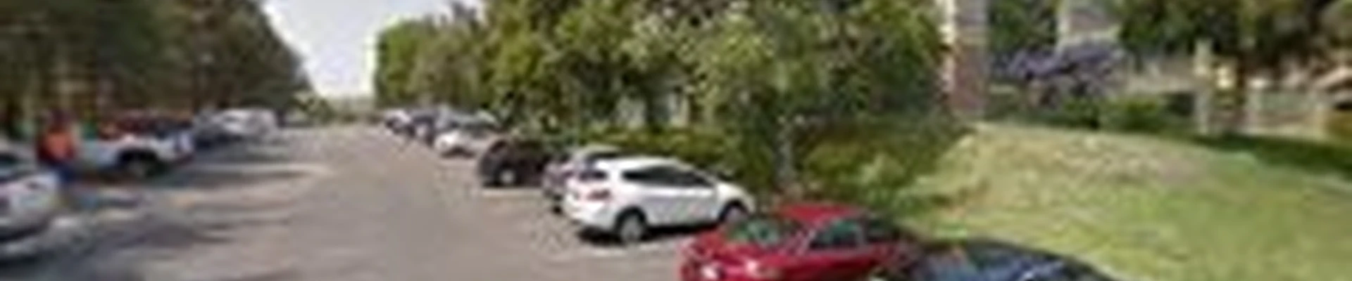 Bay Area Bed Bug