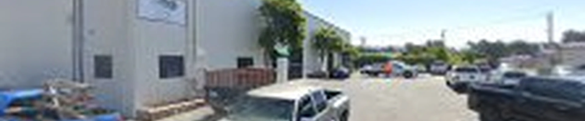 Monterey Tree Service Experts