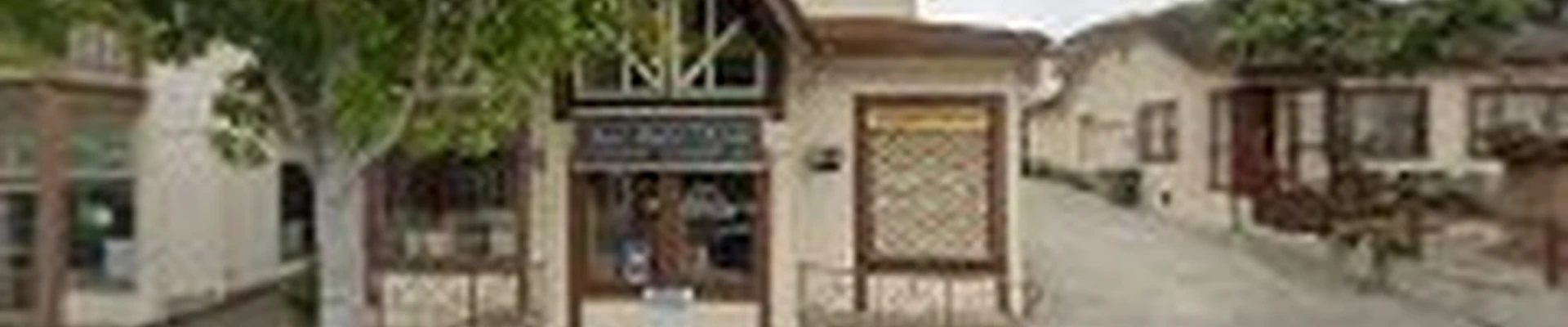 Antique Rug Service
