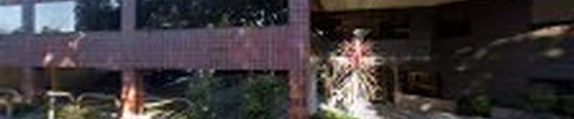 The Grout Expert