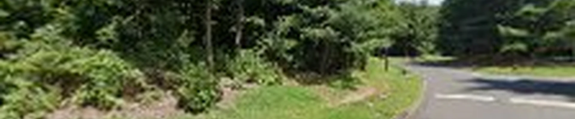 Clean & Green Cleaning Service, LLC