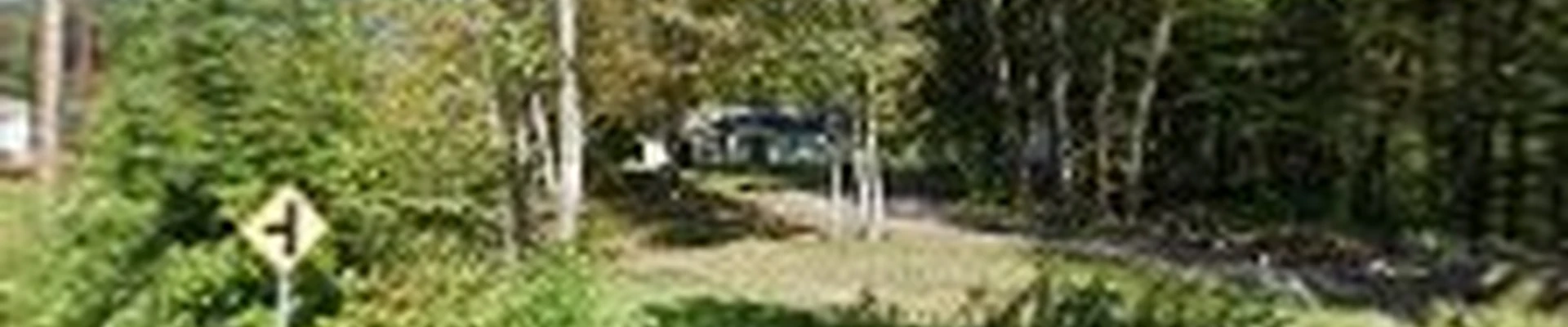 CT Cleaning Professionals LLC