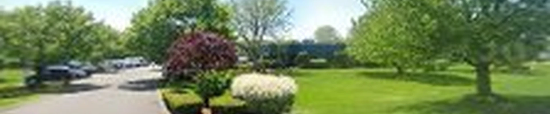 Braman Termite & Pest Elimination