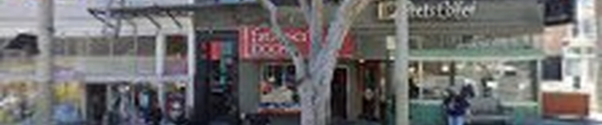 S&L Remodeling San Francisco