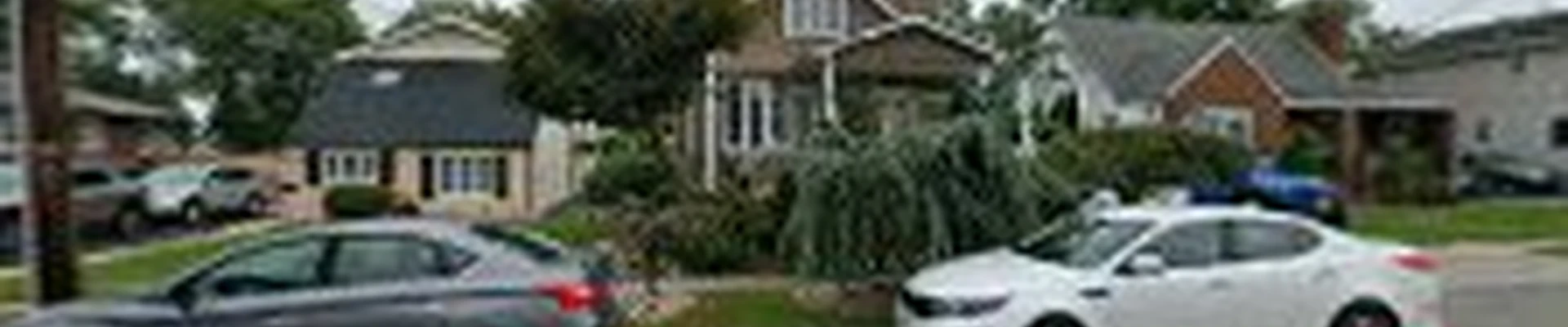 Treeminator Tree Services