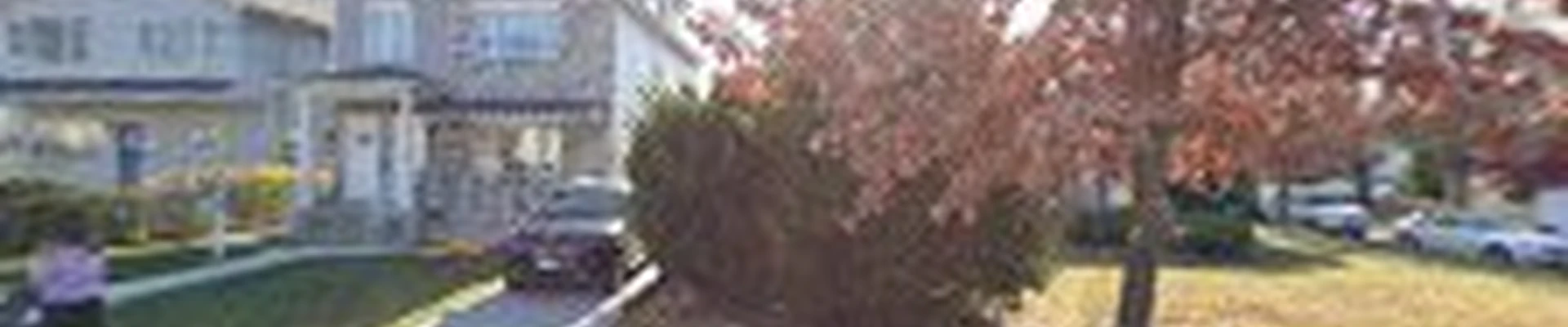 Three Guys Tree service
