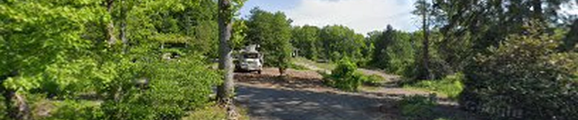 Old Bridge Tree Service