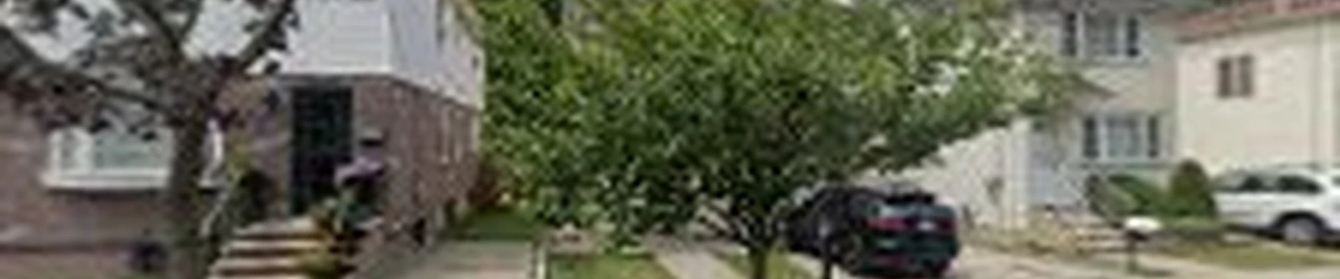 Luis G Tree Service Inc.