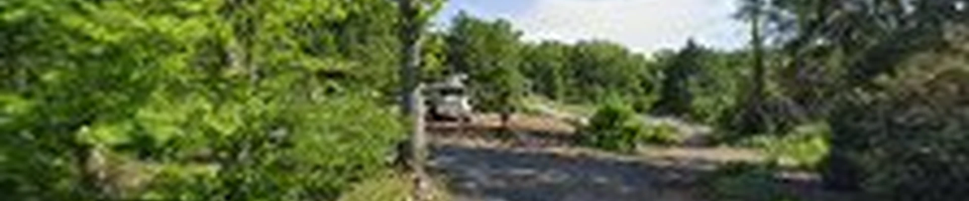 Storm's Fair Tree Service