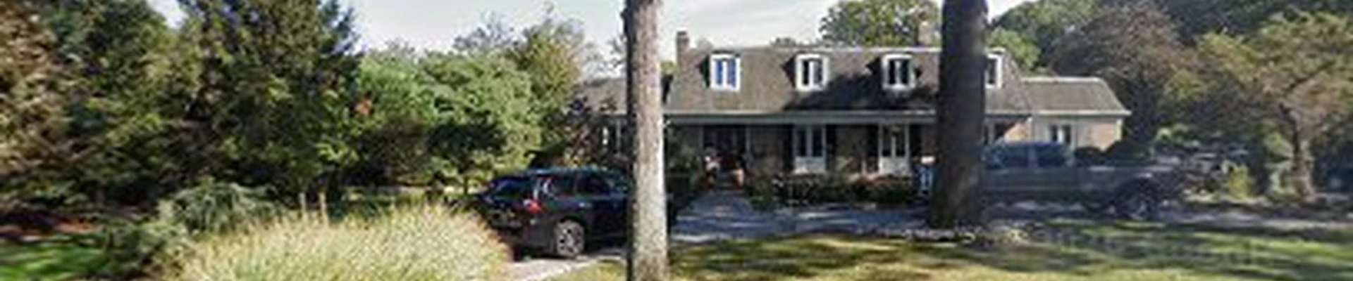 Brian's Tree Service Group.