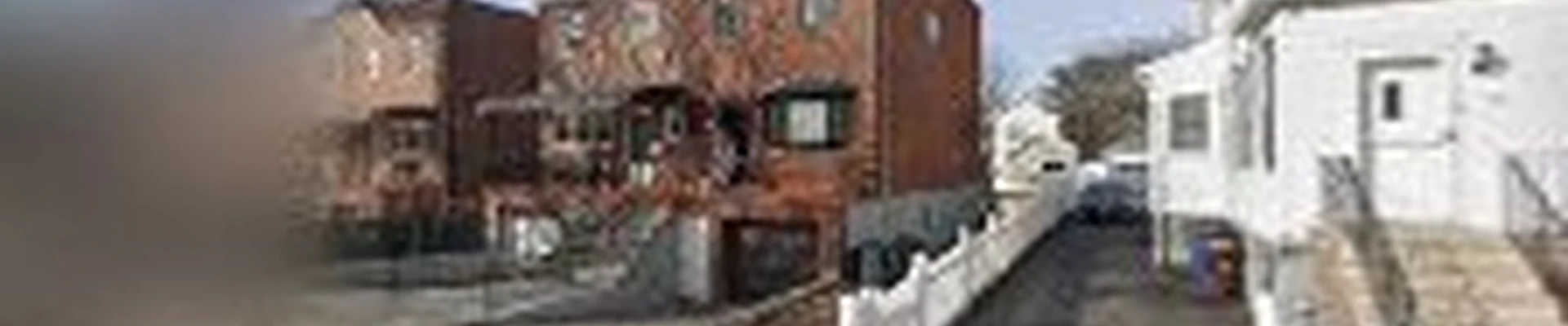 Manhattan Tree Services NYC