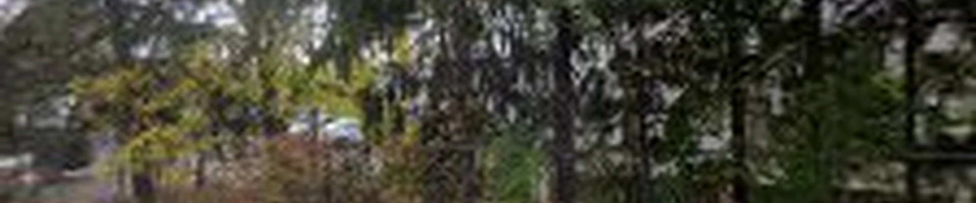 SavATree - Tree Service & Lawn Care