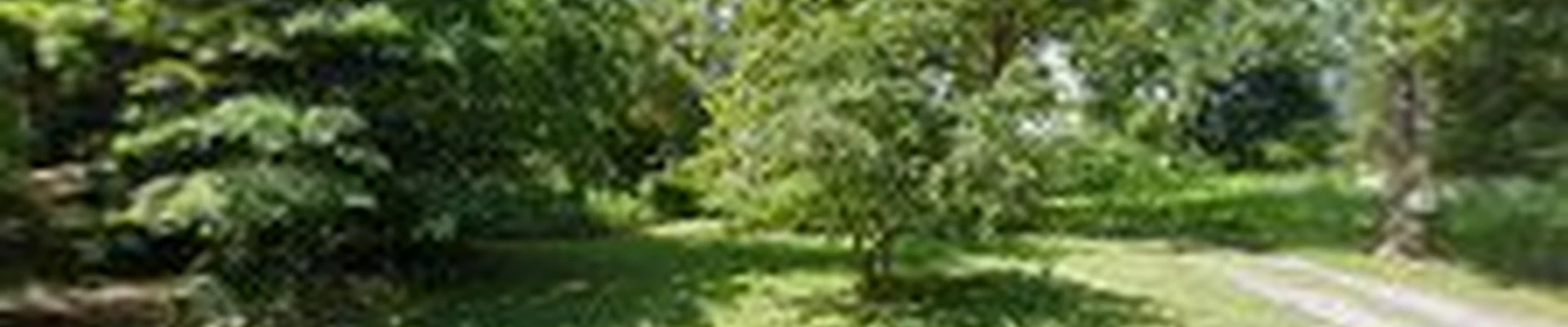 Strobert Tree Services