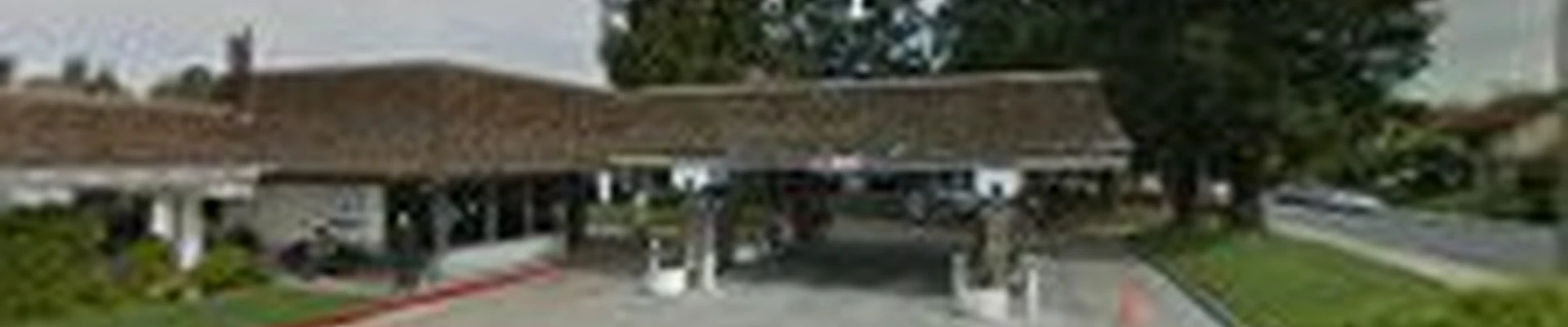 Tr﻿ee Ser﻿vice﻿ Cupertino