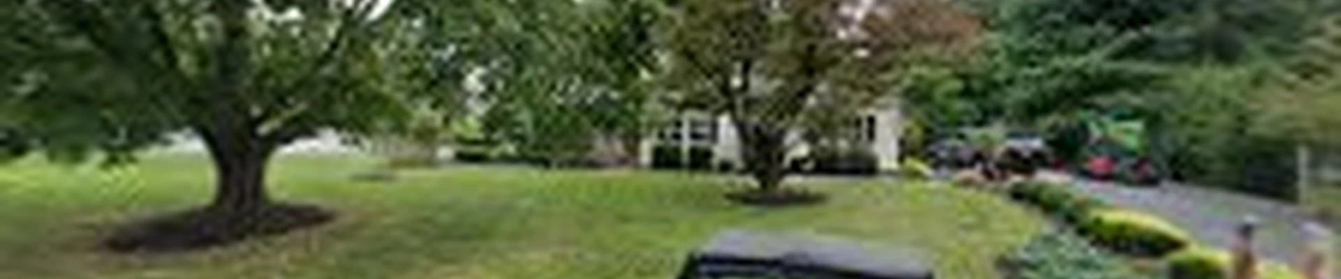 Hufnagel Tree Service