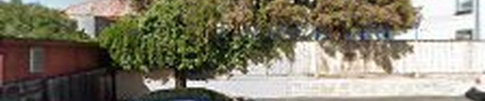 Fremont Tree Solutions