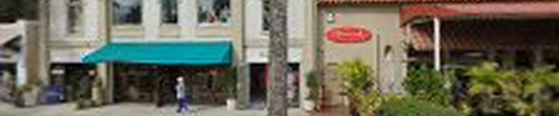 Real Tree Team Palm Beach