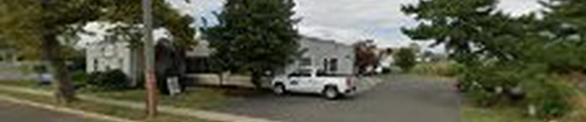 Flynn's Tree Svc. Arborist, Licensed Tree Expert