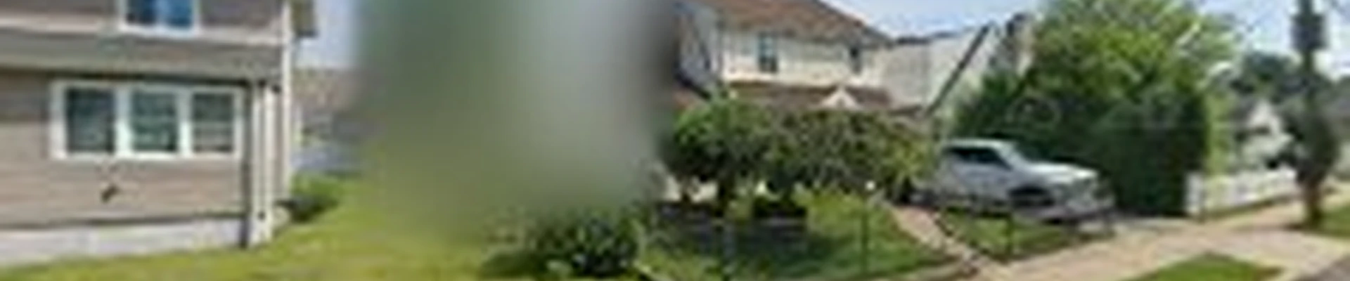 Freeport Tree Services