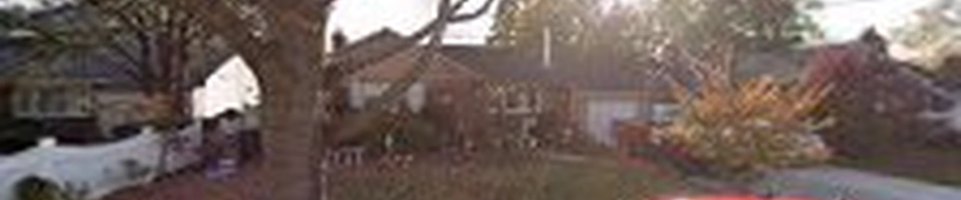 Ramalho Tree Service