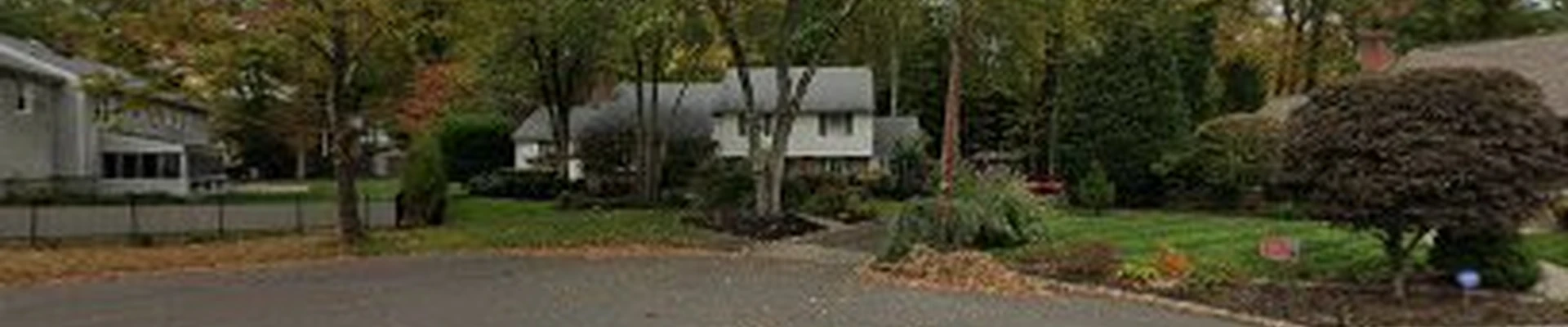 Iler Tree Services
