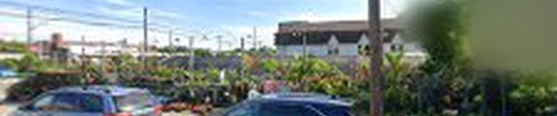 Touch of Green Nursery & Garden
