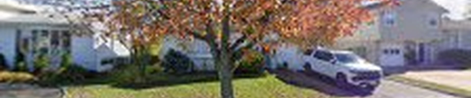 Mike's Complete Tree Services