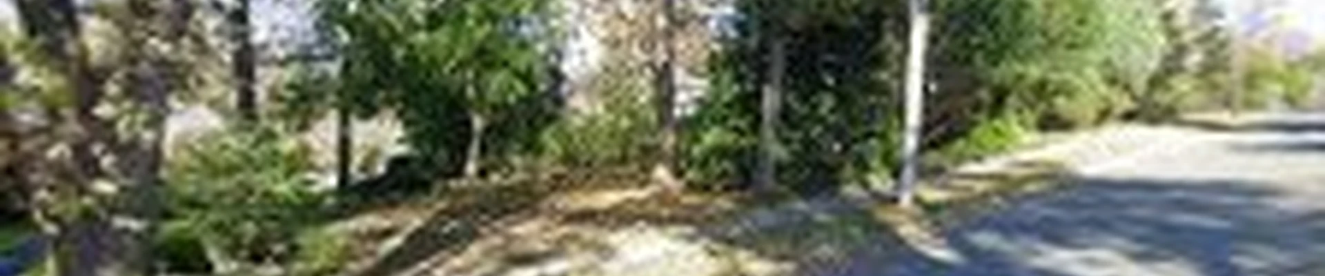 Action Tree Service, Inc.
